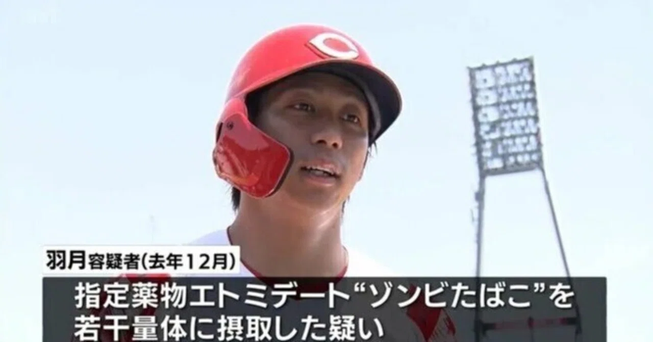広島】羽月隆太郎被告「周囲に吸っているカープ選手がいた」証言で大 広島】羽月隆太郎被告「周囲に吸っているカープ選手がいた」証言で大