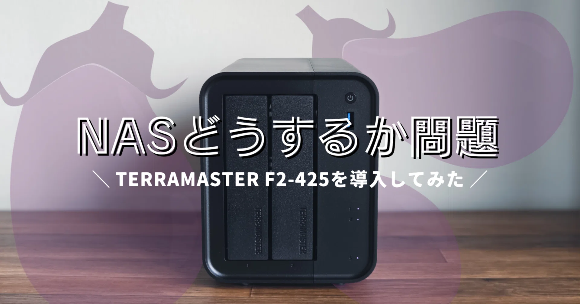 NASどうするか問題│TERRAMASTER F2-425を導入してみた｜EmuLog＠在宅