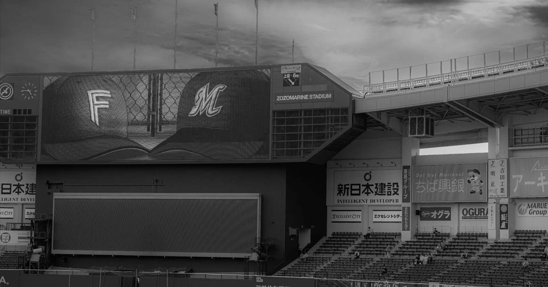 野球観戦の目的｜とまと