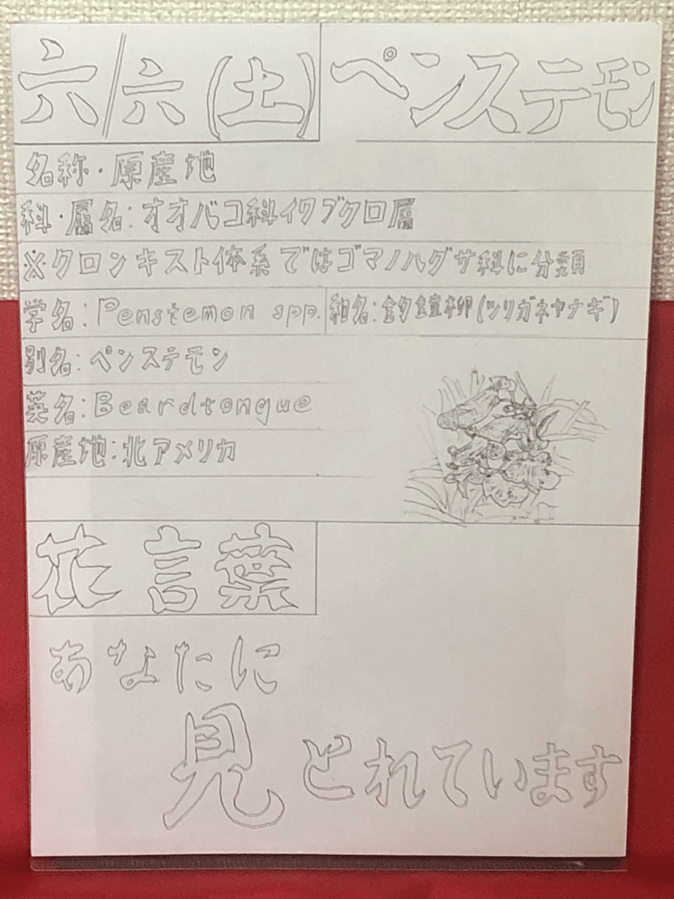 6 6 誕生花 ペンステモン 58ページ シンちゃん Note