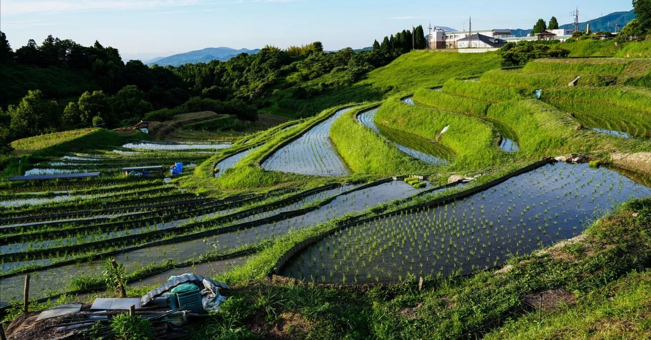 畦道は、どこまで数字になるのだろう｜はなふさふみ