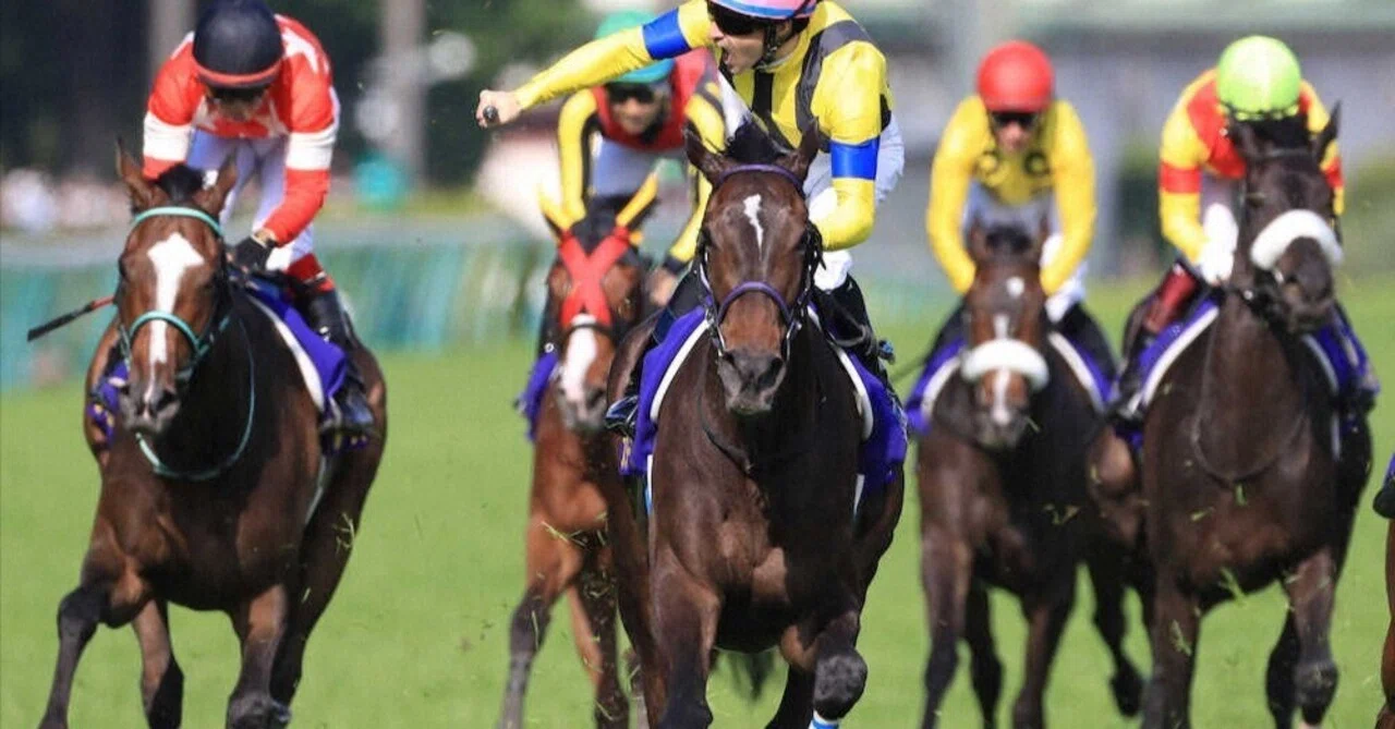 5月17日(日)ヴィクトリアマイル 複勝10万円ぶち込み｜脱サラ馬券師のりさん