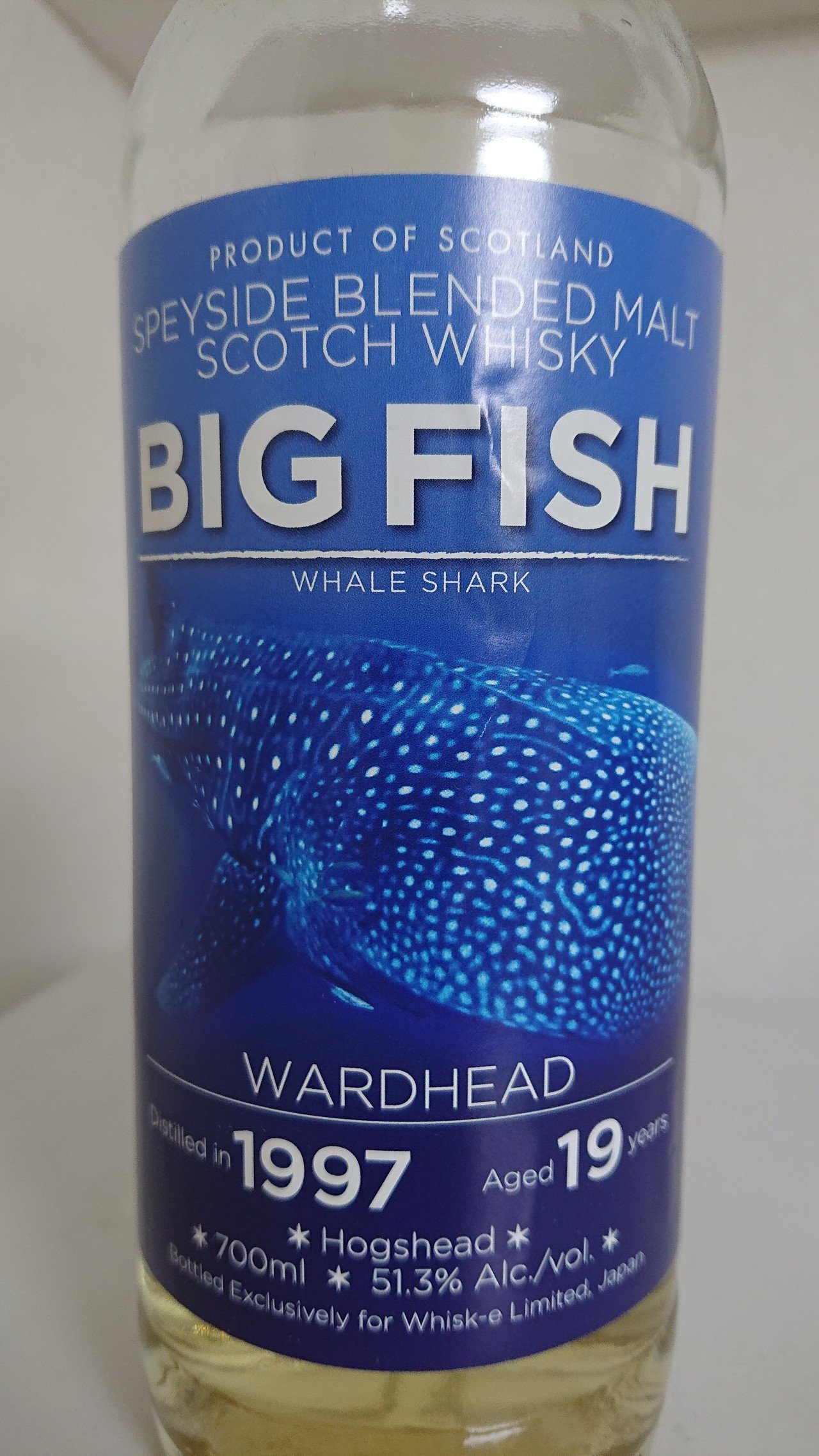 NO.21】BIG FISH ウォードヘッド1997/19y(ウィスク・イー)｜okeji