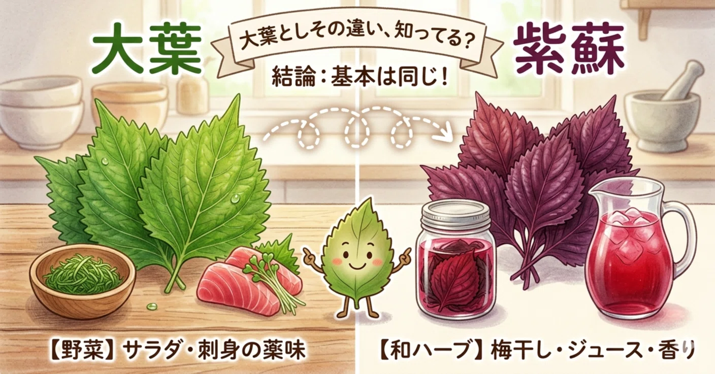 大葉 しそ 違い