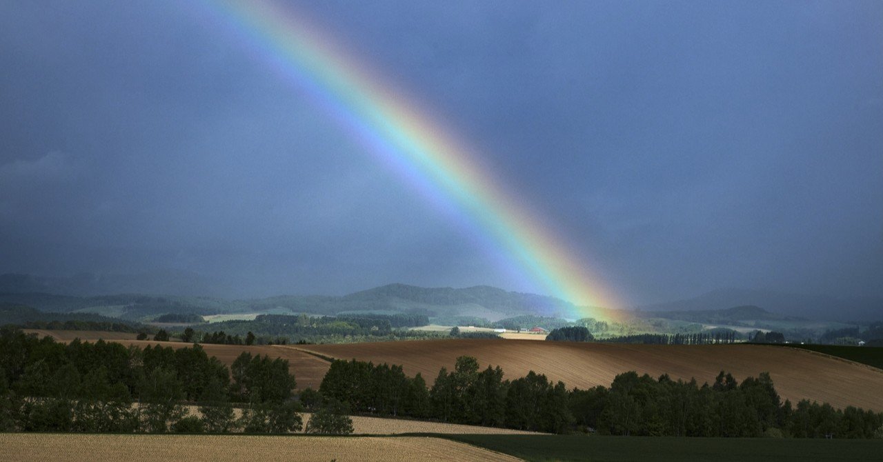 空の虹と地上の虹｜中西敏貴