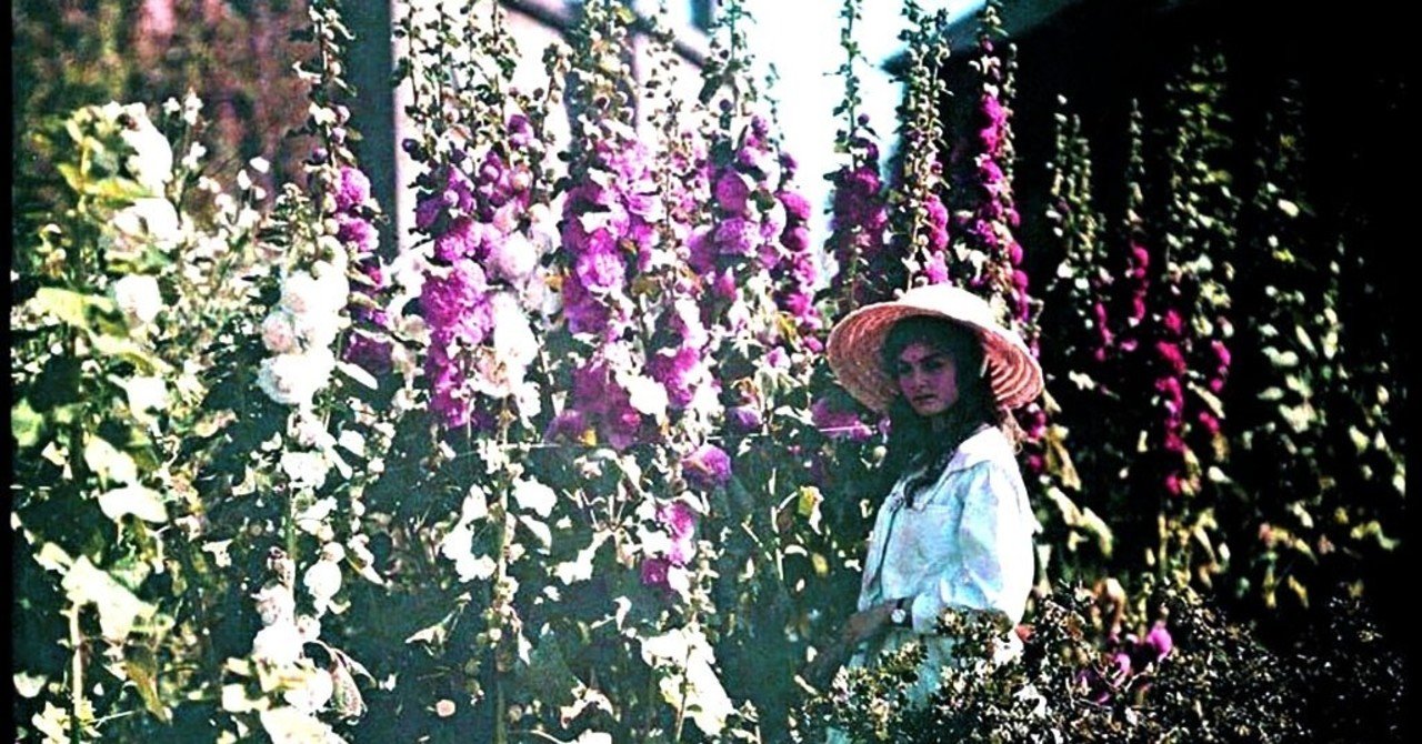 たけのアルバム野外露出撮影会2 Etheldreda Janet Laingの100年前のカラー写真、立葵もきれいだ。｜artoday - chiaki