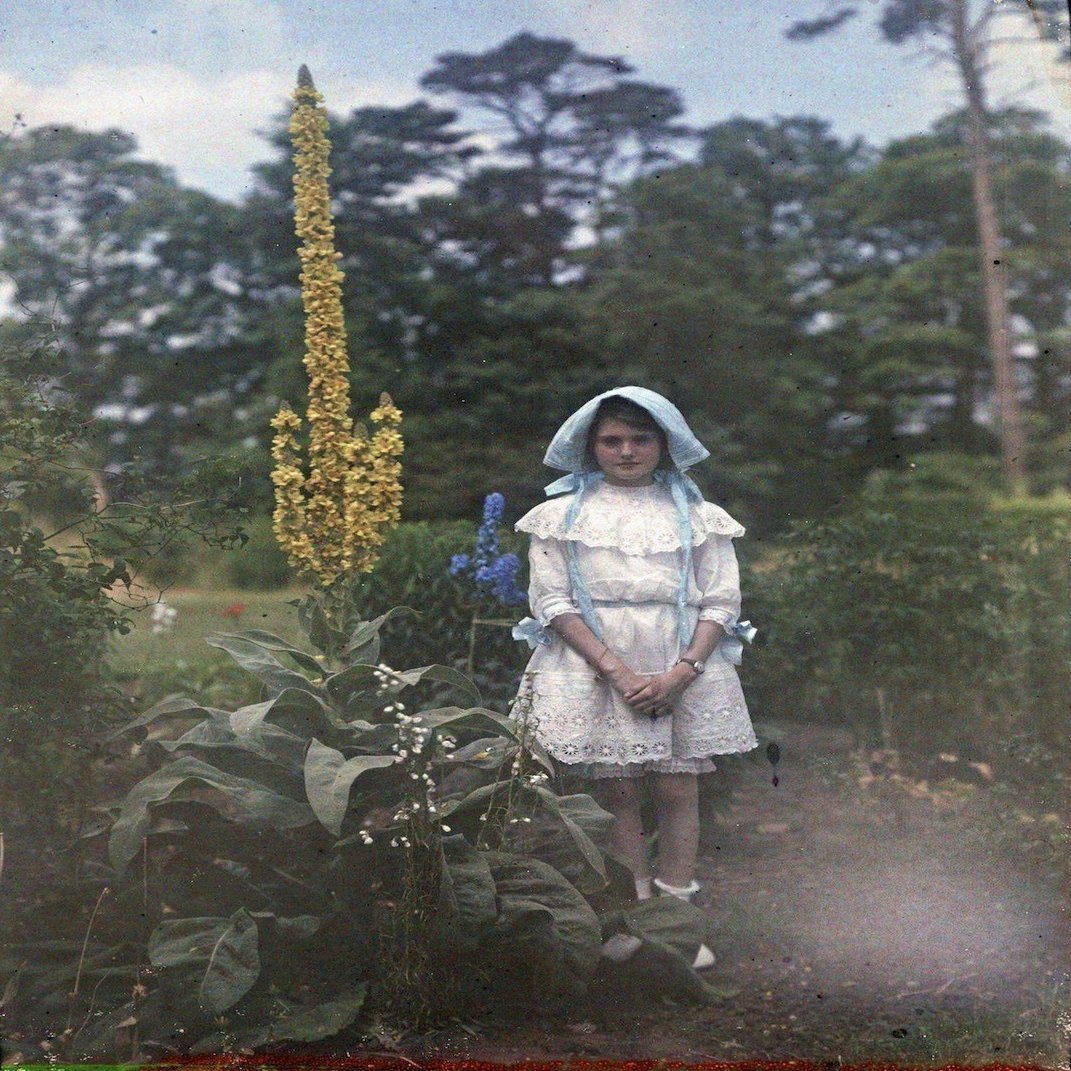Etheldreda Janet Laingの100年前のカラー写真 立葵もきれいだ Artoday Chiaki Note