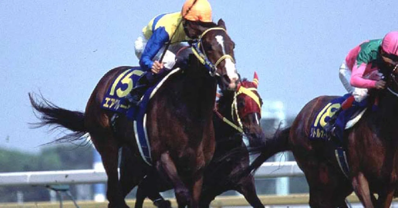 スティルインラブ -17年ぶり史上2頭目の牝馬三冠-｜ハサミおじさん