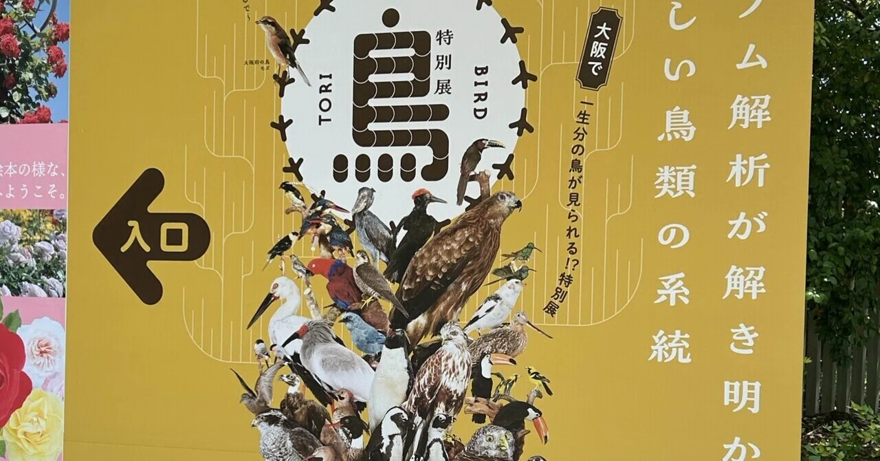 特別展「鳥」で一生分の鳥を見てきた🐤｜yiren@一人旅