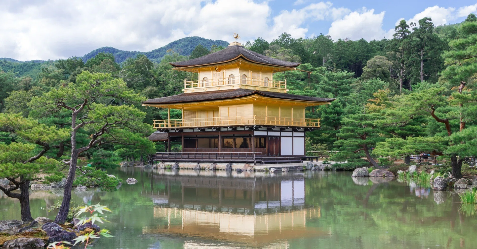 阿以波 2020年 極細竹骨透彫京うちわ「紅白水辺文」木製挿柄付｜ねこのま