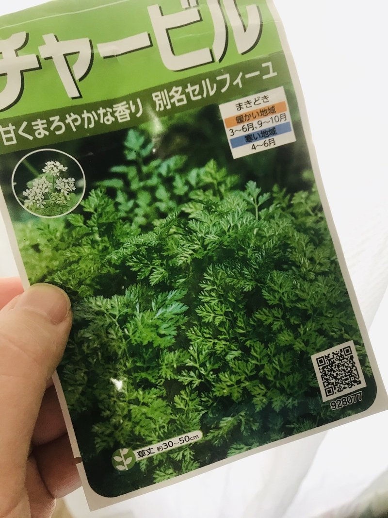 セルフィーユの成長記録 みち Note セルフィーユの成長記録 みち Note