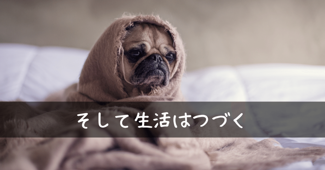 エッセイストとしての星野源の方が好きかも そして生活はつづくの感想 しんたろ Note