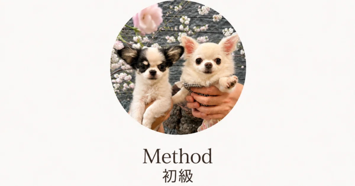 Methods Beginner: About the Statistical Tests to Use｜論文まわり実践室