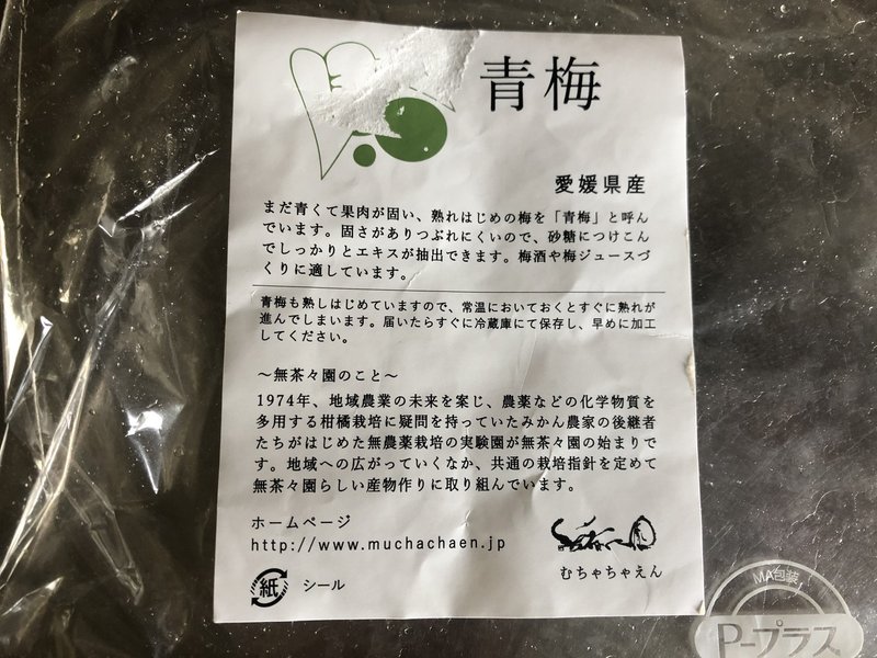 梅シロップのつくりかた 梅仕事 小俣 緑 Midori Komata Note 梅シロップのつくりかた 梅仕事 小俣 緑 Midori Komata Note