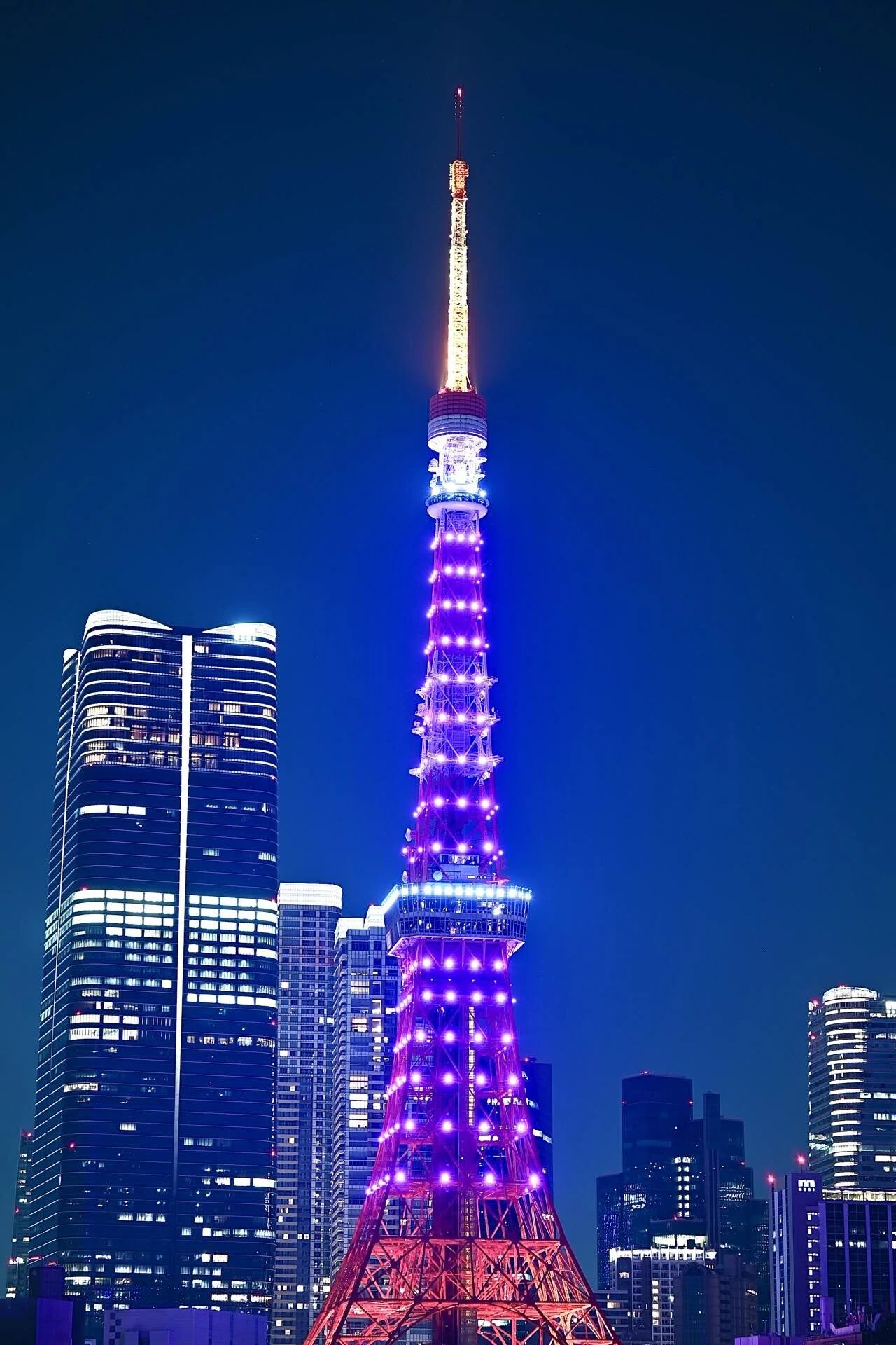 今日の東京タワー】2026年5月17日｜TOWERUP