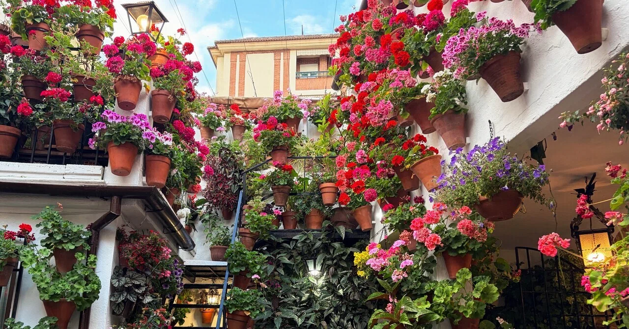 旅行エッセイ】📍 スペイン・アンダルシア地方コルドバ｜中庭祭りが