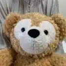 夫にゆるされている