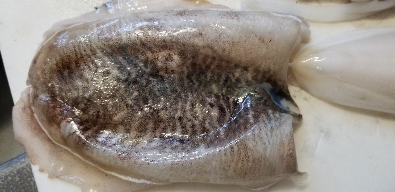 無料記事 スミイカも安価 刺身でいただきました 魚っくん Manabu Note