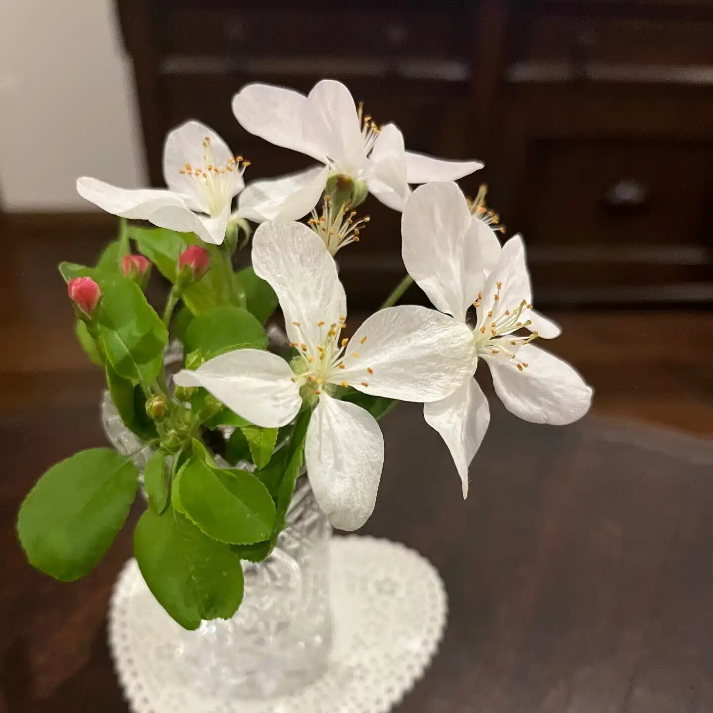 yuの微熱