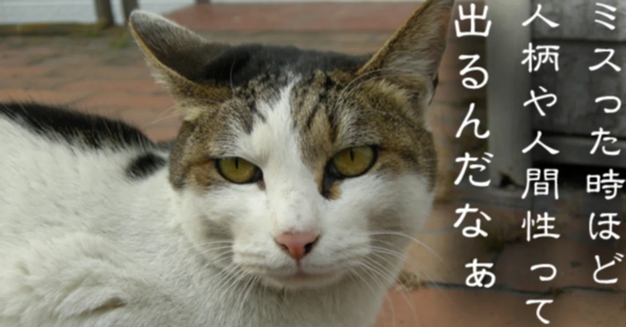 見出し画像