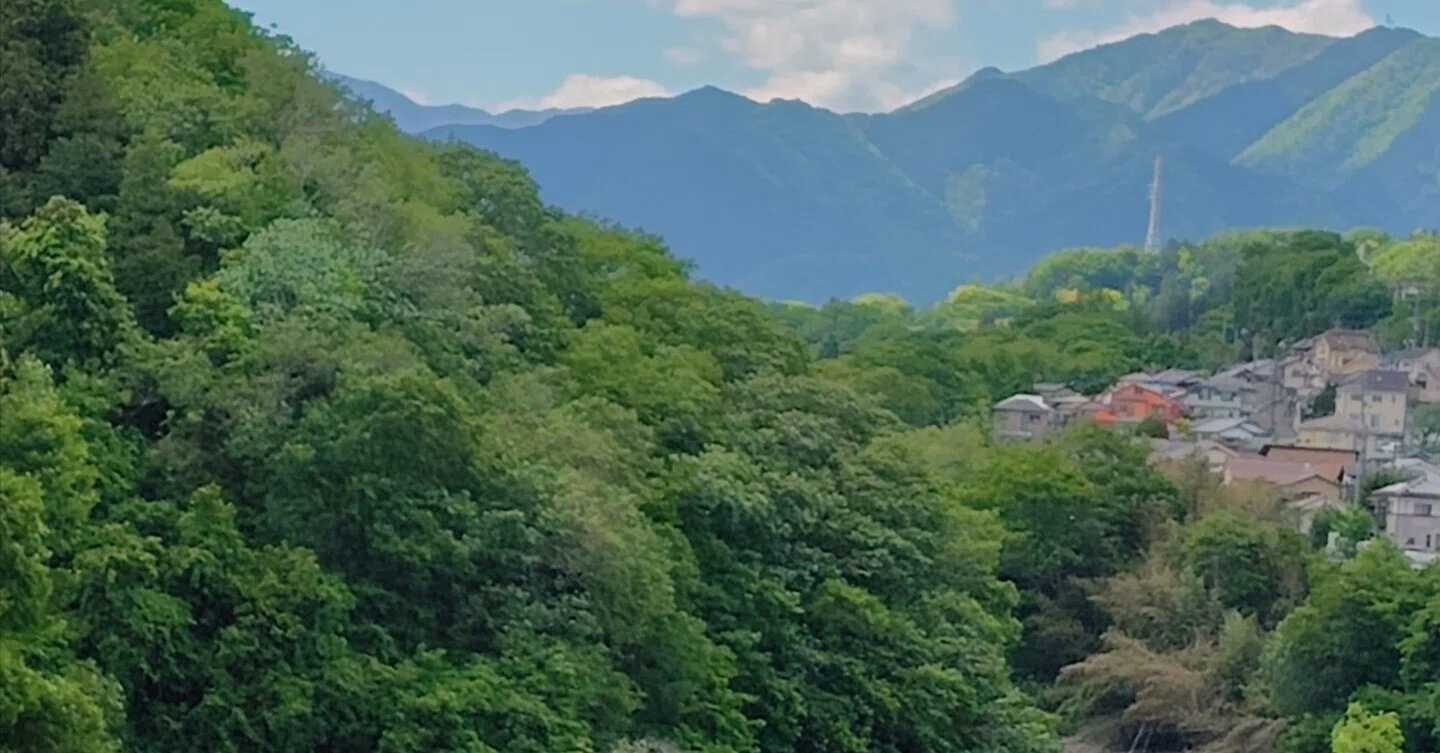 引っ越し中〜荷出し》 藤野移住物語 ✽車無しの里山暮らし その 47