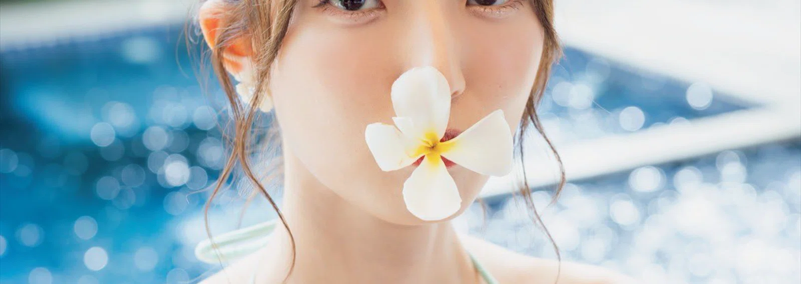 茶々 ｜note