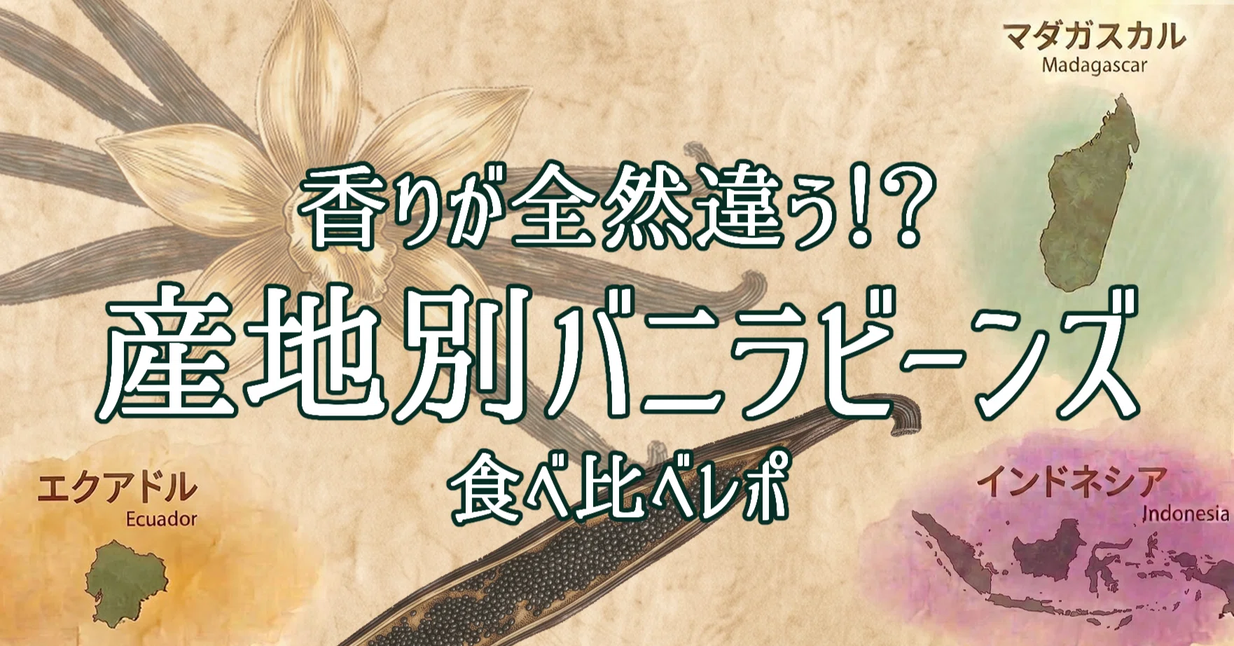 香りが全然違う！？産地別バニラビーンズの食べ比べ｜みな