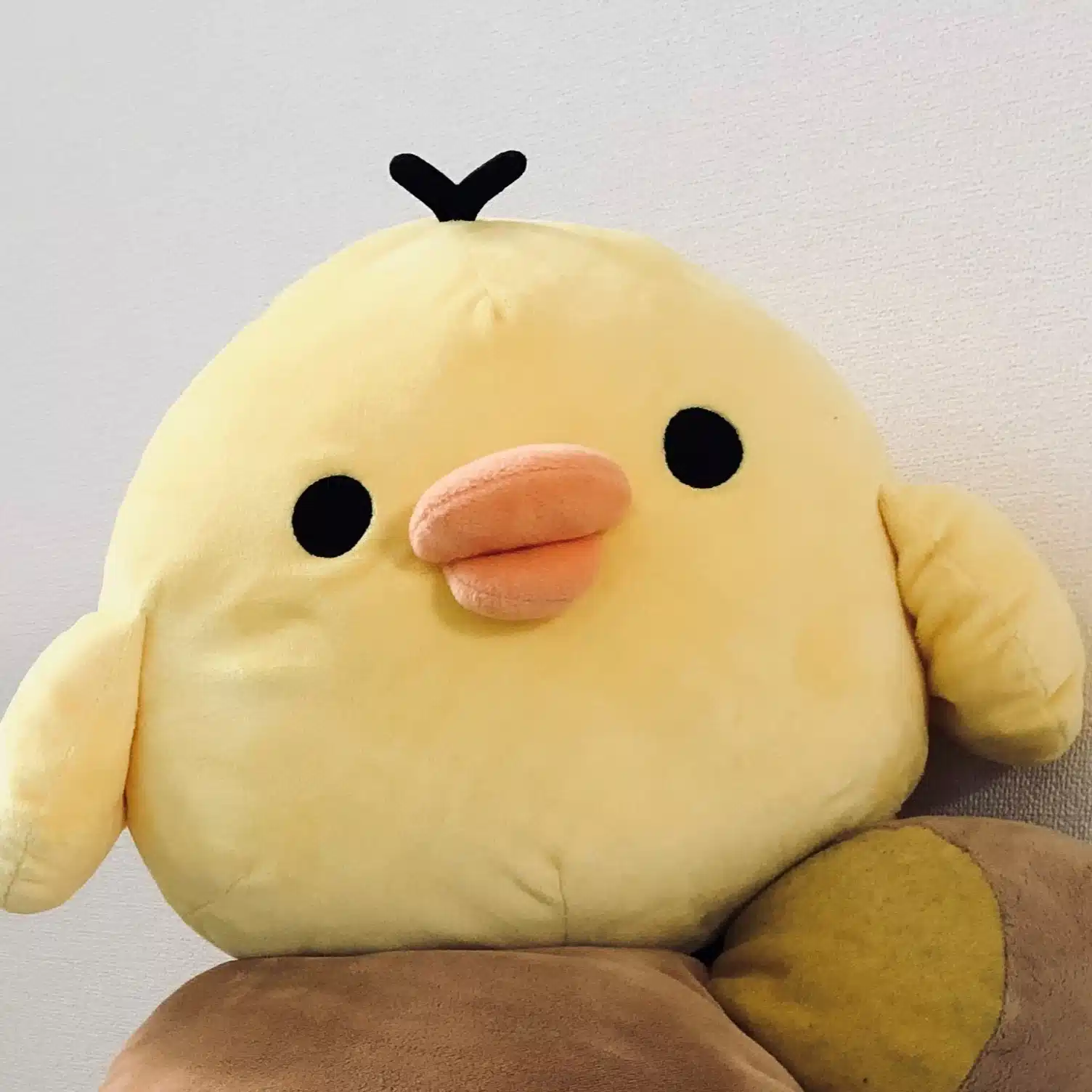 のーねん