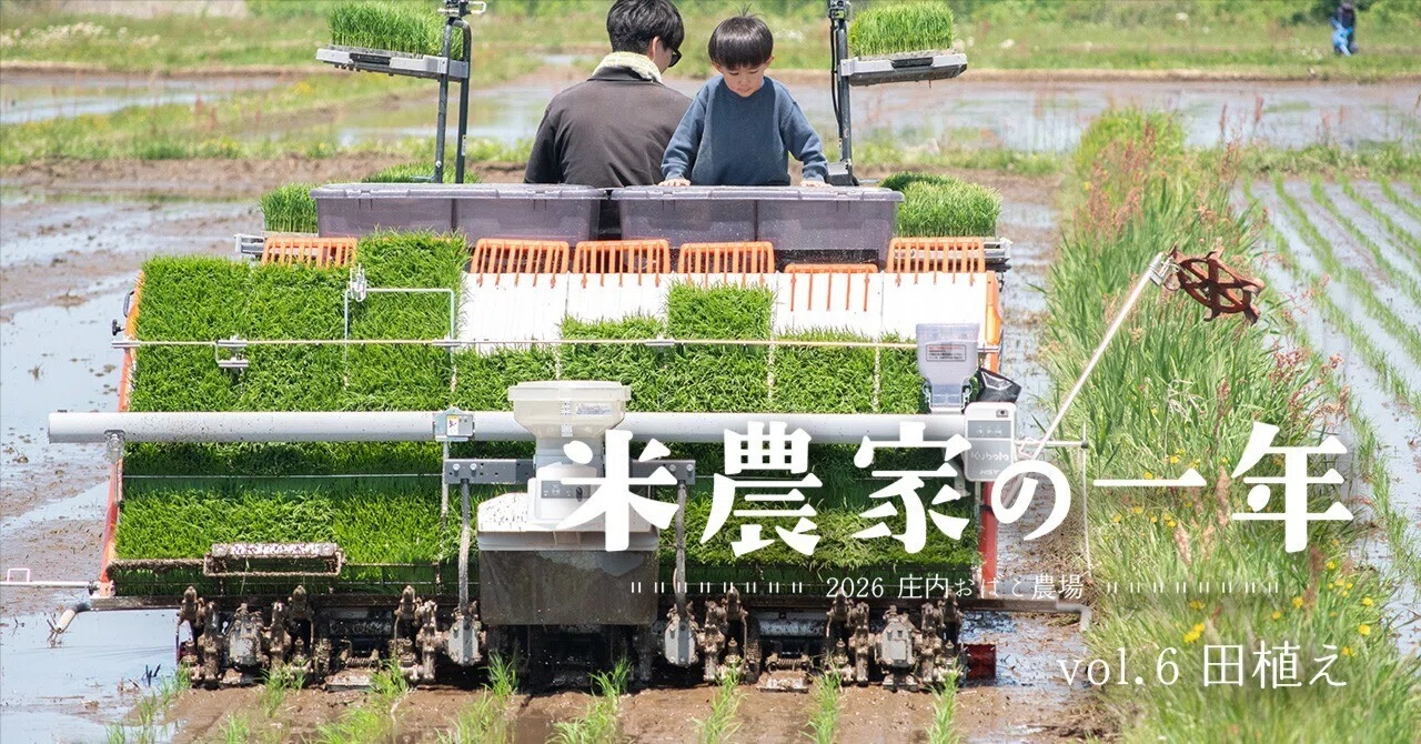 米農家の一年 ｜ vol.6 田植え｜鶴岡市ふるさと納税公式note