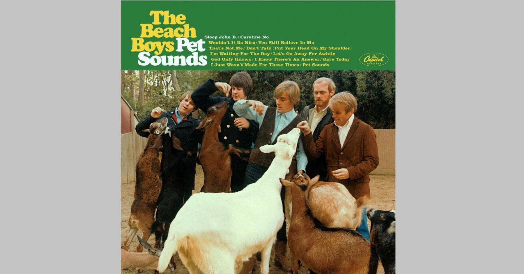 私構100：10 The Beach Boys「Pet Sounds」｜ごあ（宇宙でひとりぼっち）