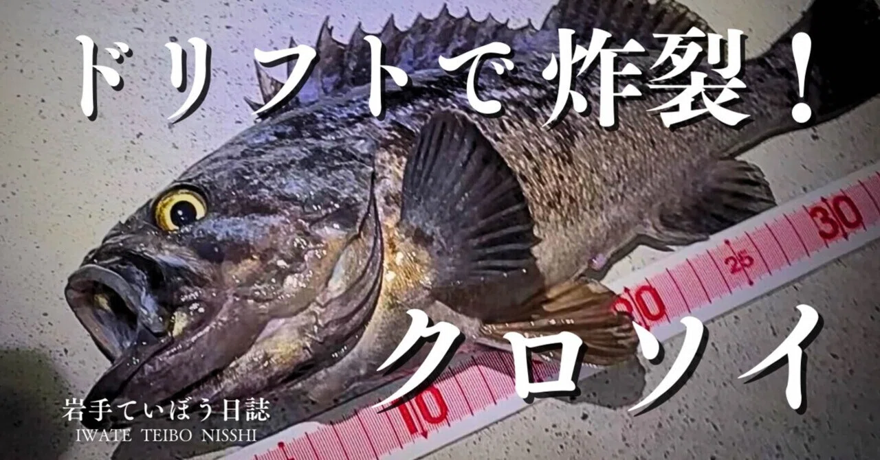 漁港ロックフィッシュ！大型クロソイが丸飲みする！漁港の明暗部を 