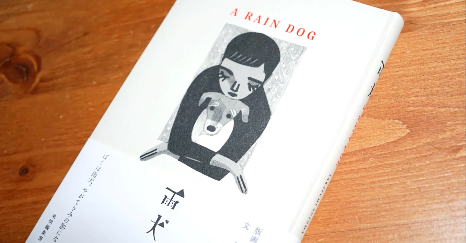 雨犬 』 | この世界の木霊（ エコー ） と 数字では測れないこと｜ぼん 詩画「質より量」