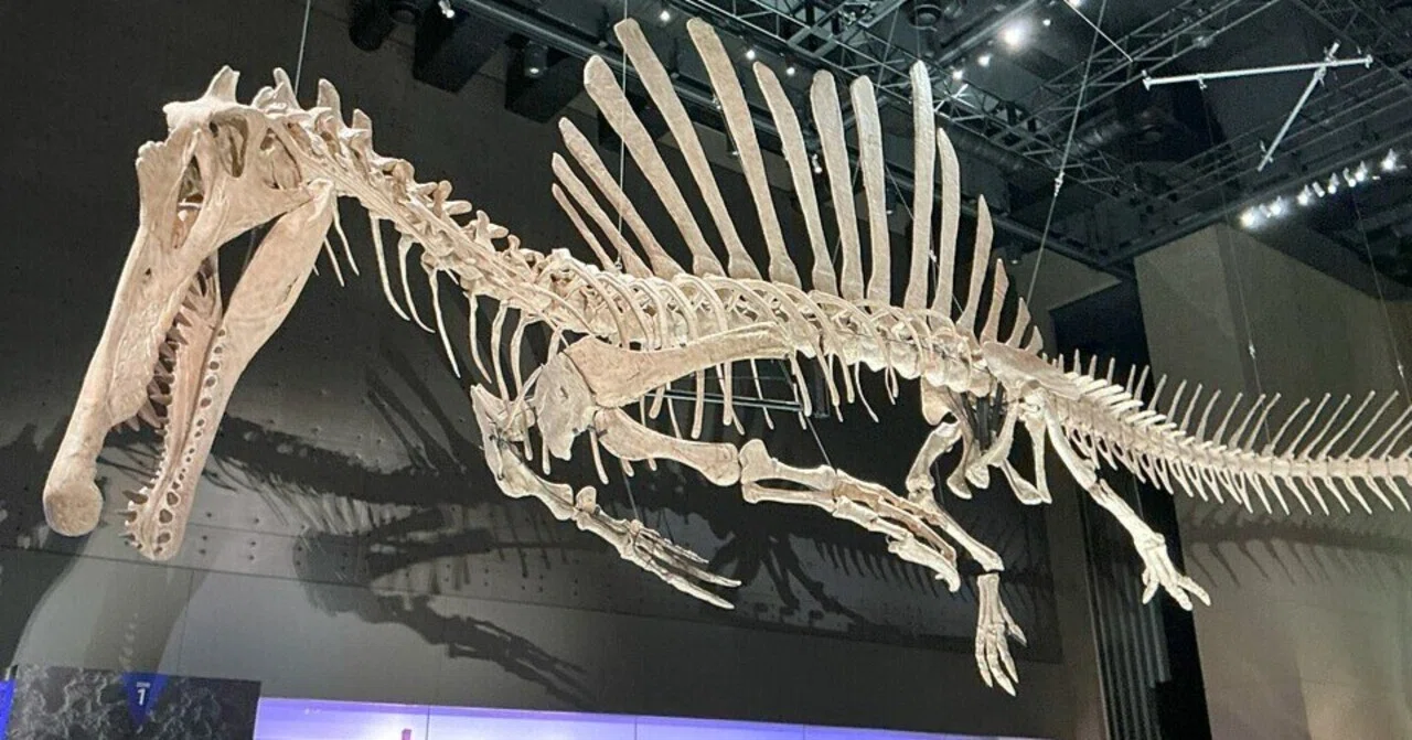徒然恐竜語り スピノサウルス科絶滅の謎｜冠龍