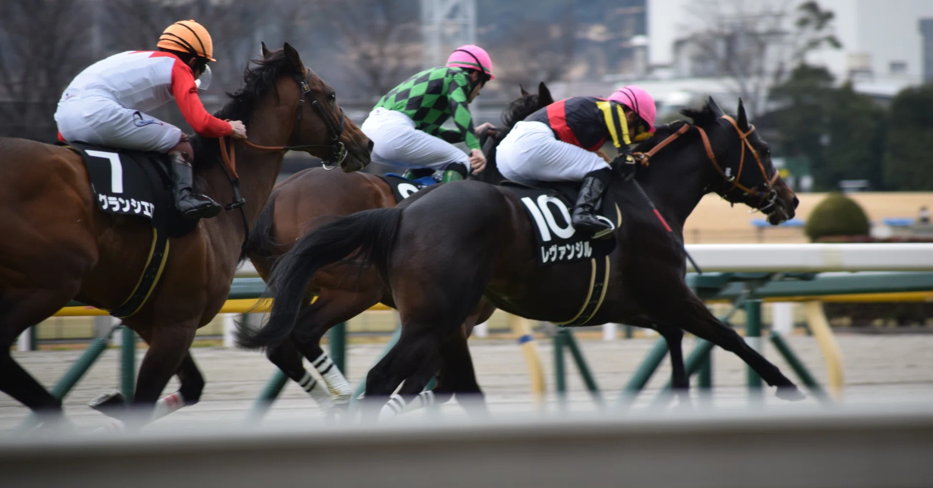 5.18 大井競馬予想❤️‍🔥大井8R❤️‍🔥｜競馬専門家みゆ