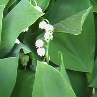 この春 とうに死んでるあなたを探して 筑摩書房刊 発売しました 榎田 楽屋 Note