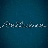 Cellulite/セルライト
