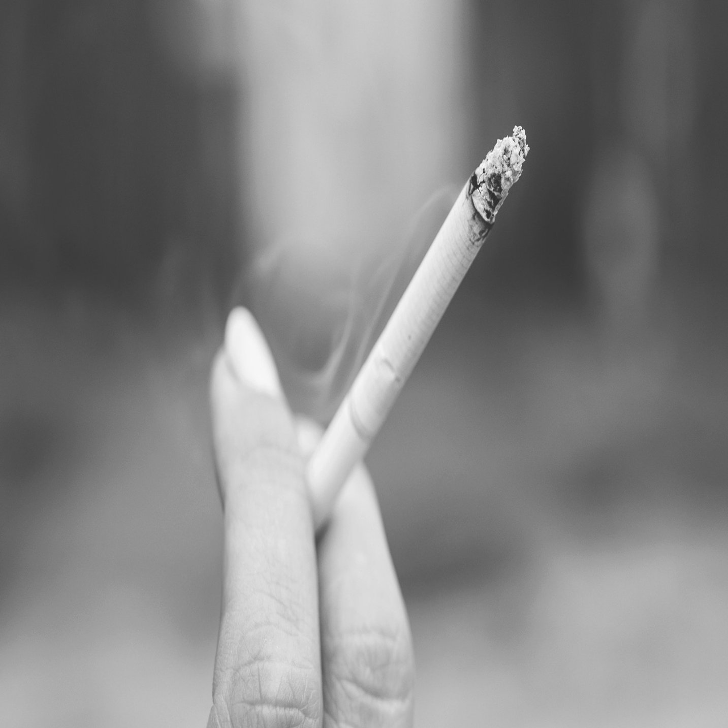 喫煙とワインのテイスティング能力 じんわり Note