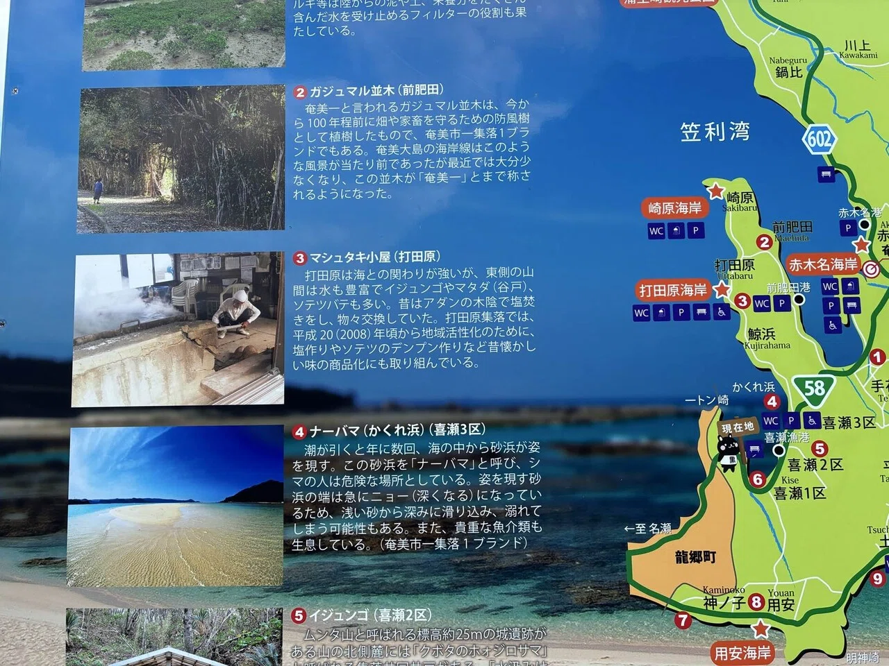 4泊5日2度目の奄美大島ワーケーション(?)day4奄美大島2026.5.18｜Nami