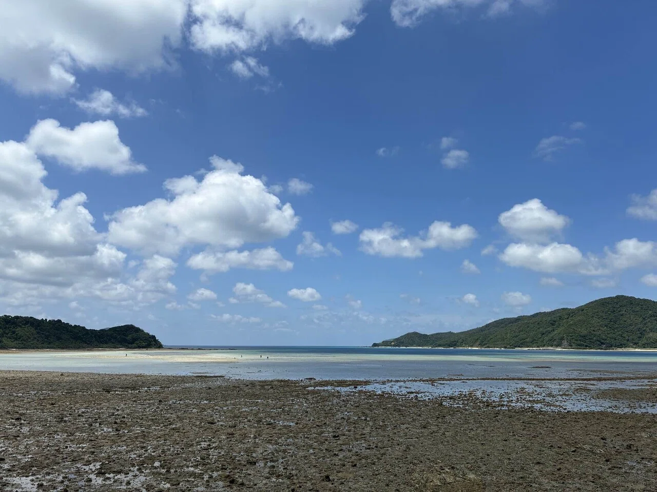 4泊5日2度目の奄美大島ワーケーション(?)day4奄美大島2026.5.18｜Nami