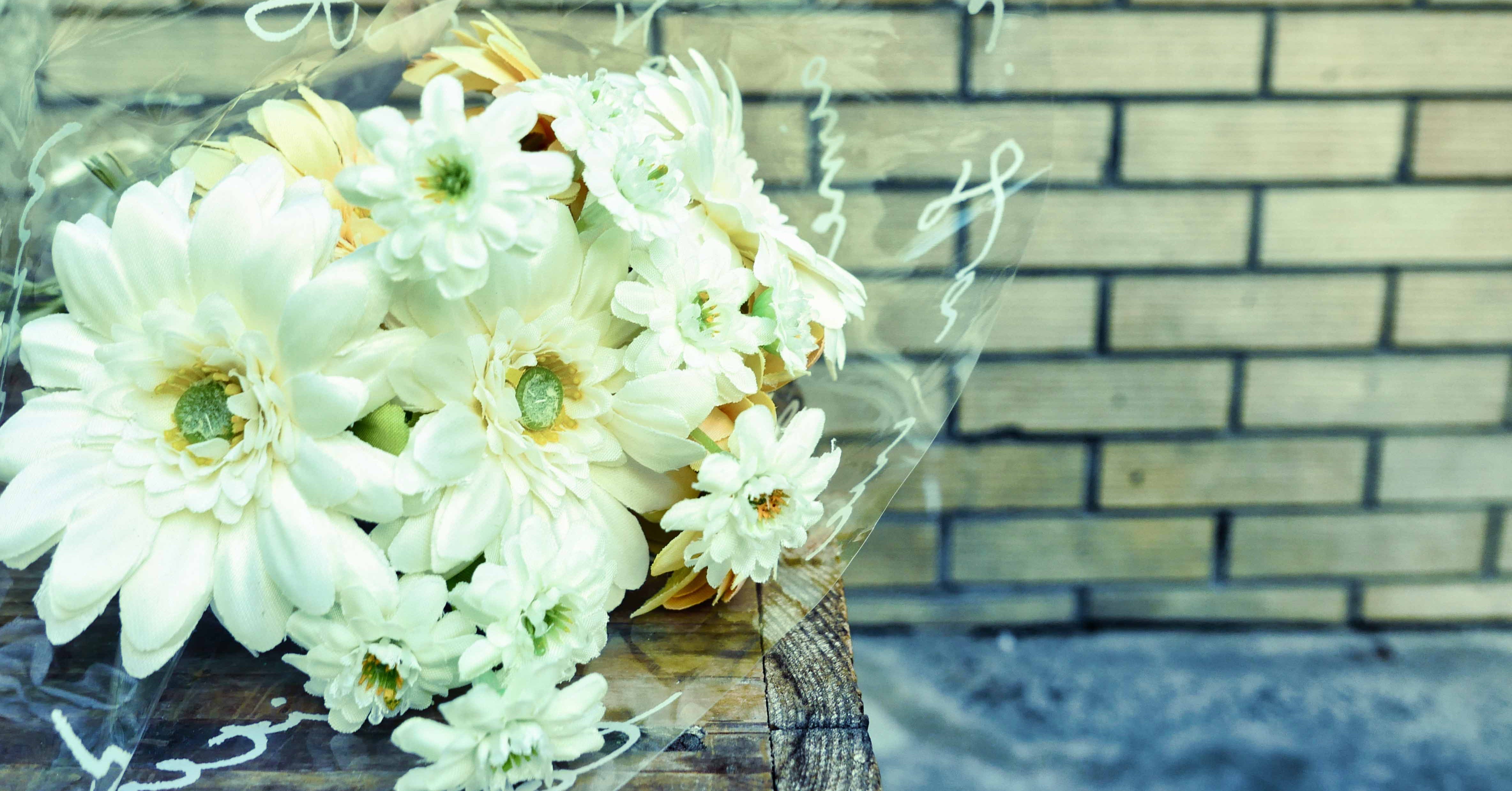 カメラ女子必見 ライカの入門機 Leica D Lux7作例レビューその 東京 代官山 旅するフォトグラファー スナップガール Note