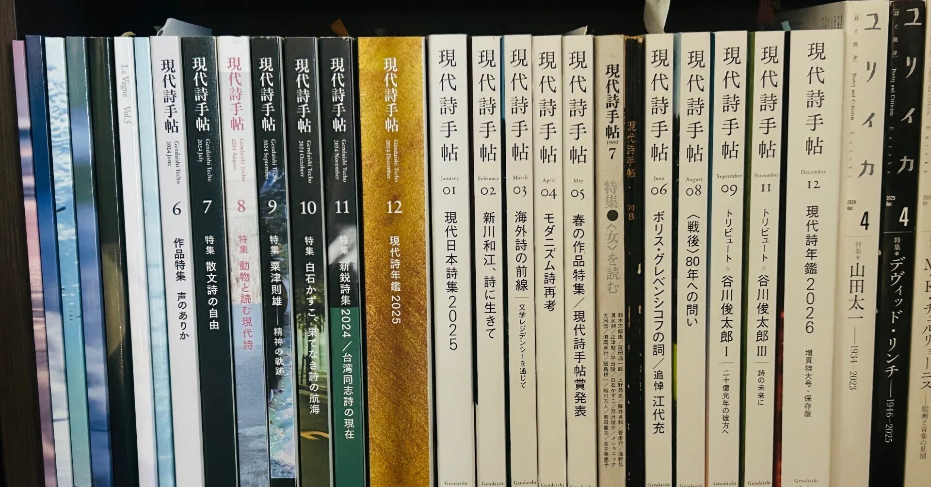 詩の投稿を離れて、これからのこと｜有門萌子