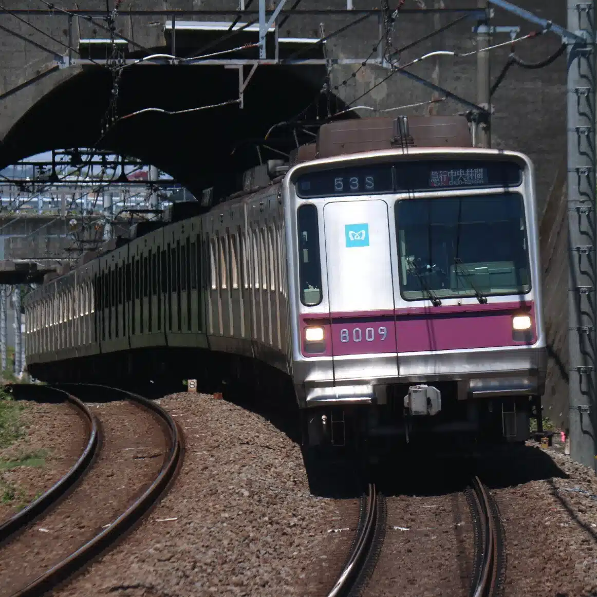 メトハチ好き