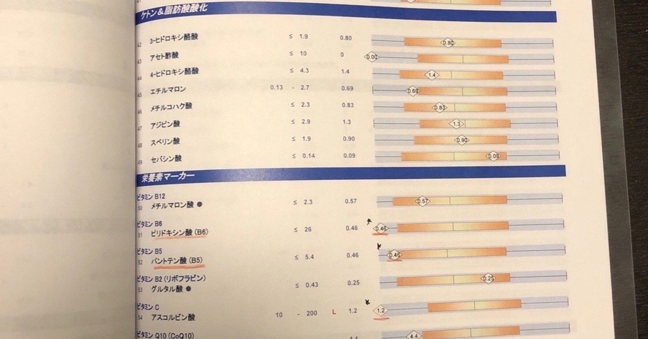 有機酸検査を受けてみた Chika Note