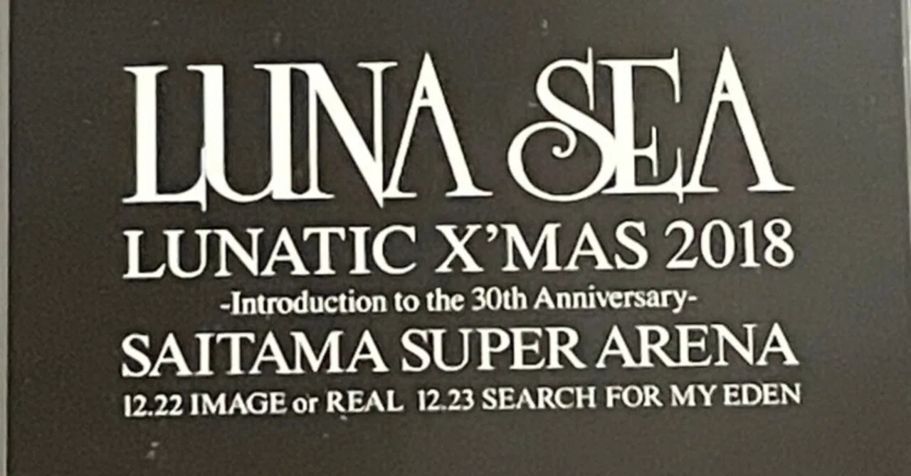 LUNA SEA 『IMAGE or REAL』 の記憶｜心地仔 (異世界転生ロック〜浮遊想〜)