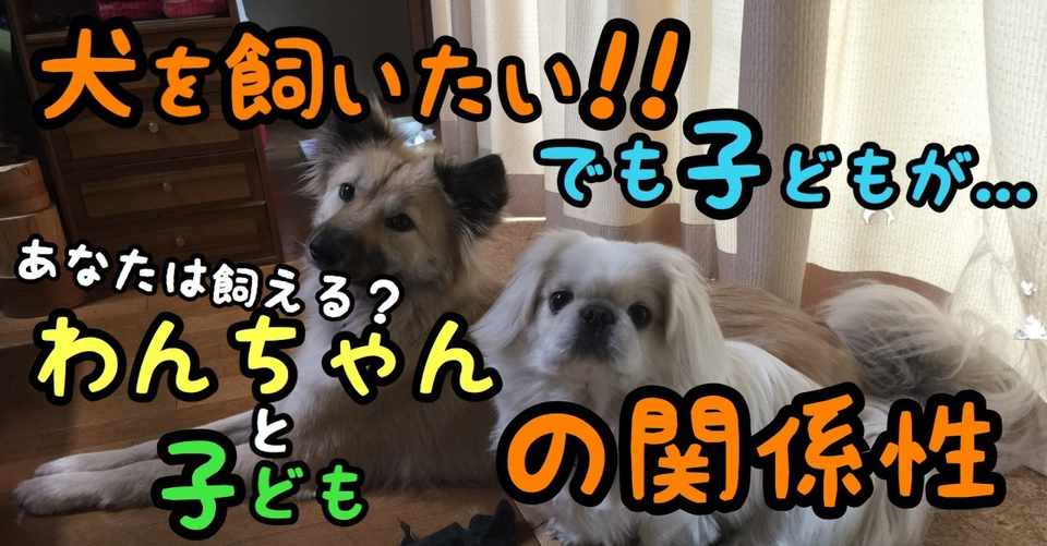 犬を飼いたい でも子どもが アナタは飼える 小さいお子さんと わんちゃんの関係 ドッグライフサポーター 獅子パパ Note