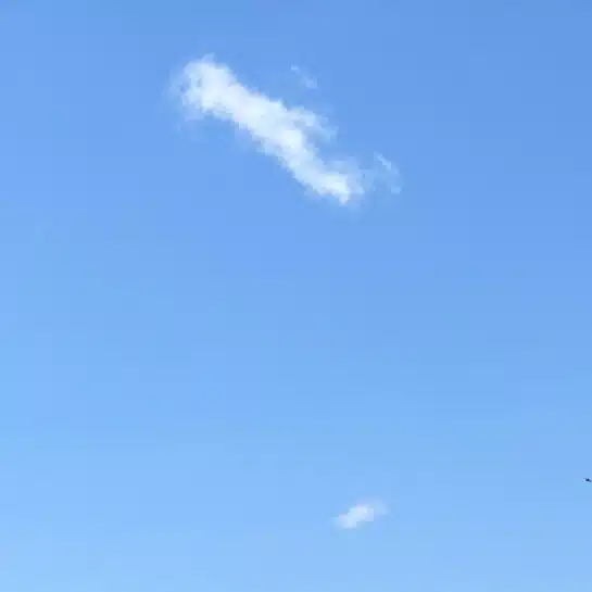 ささささ_43歳JTCワーママ