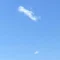 ささささ_43歳JTCワーママ