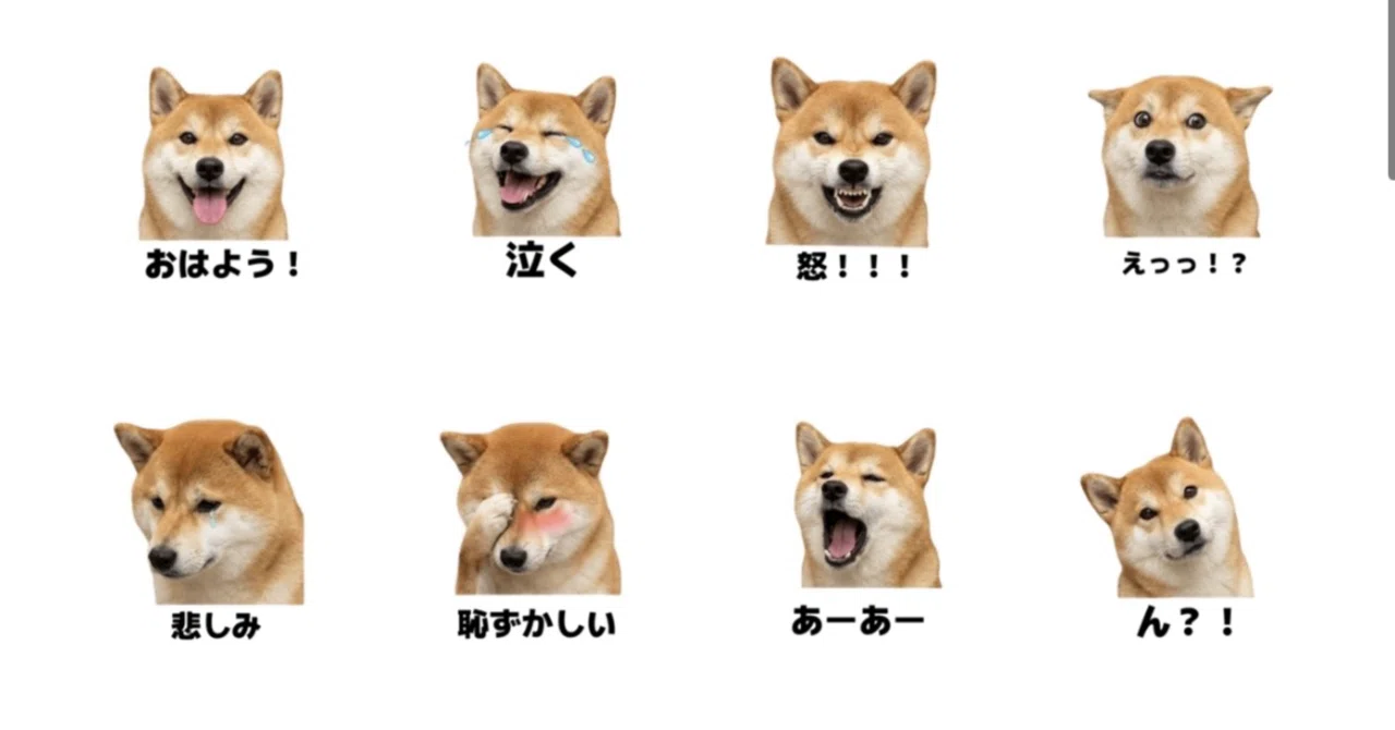 LINE絵文字】この顔、送りたくなる？！リアル柴犬「ラブちゃん」の