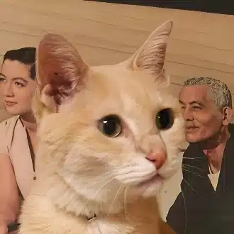 ちきらと