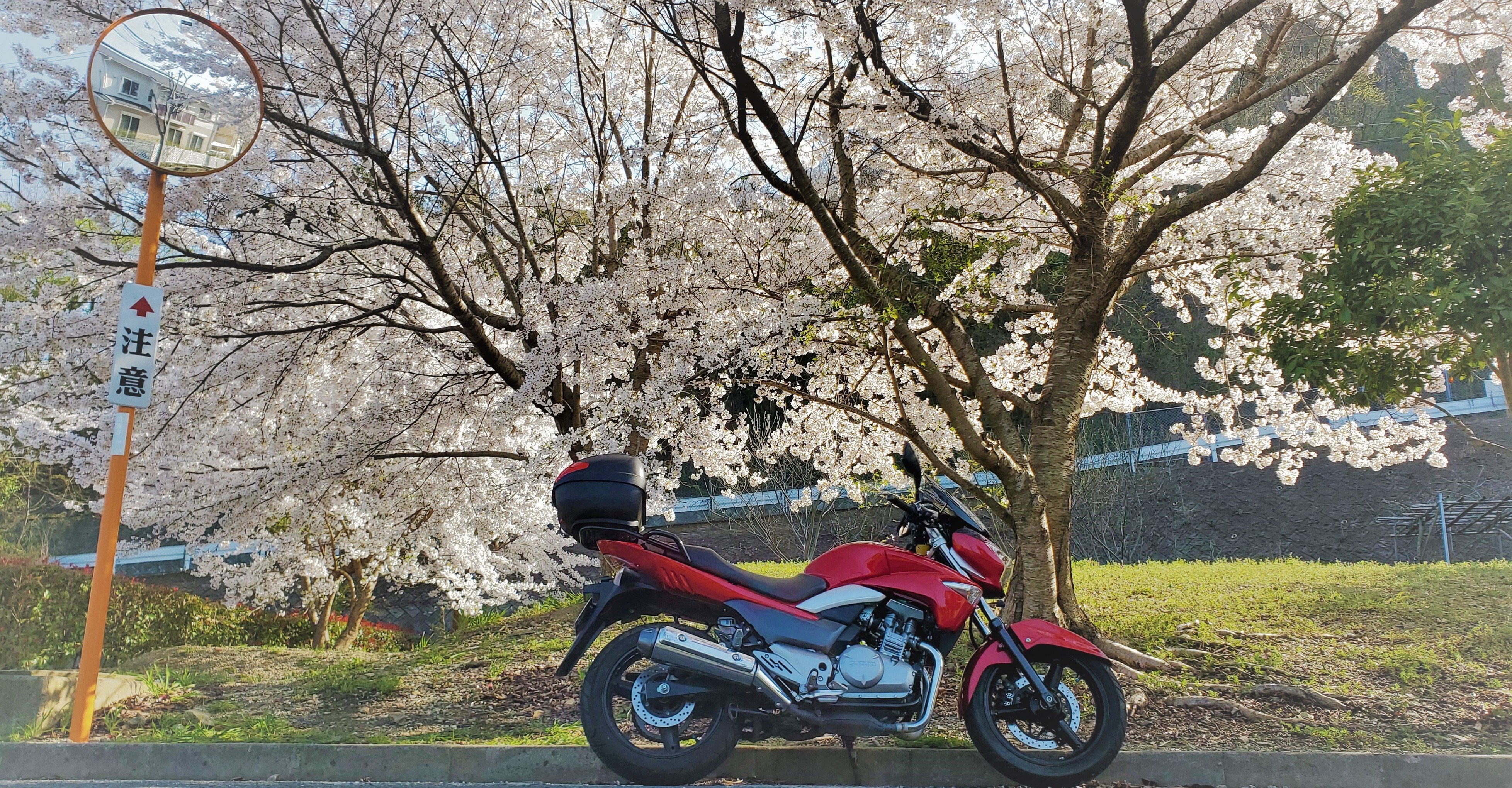 Gsr250に乗っています 草渚 颯 Note Gsr250に乗っています 草渚 颯 Note